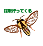 蛾っこいいスタンプ（個別スタンプ：1）