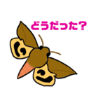 蛾っこいいスタンプ（個別スタンプ：2）