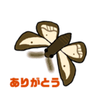 蛾っこいいスタンプ（個別スタンプ：3）