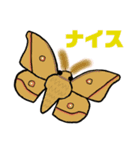 蛾っこいいスタンプ（個別スタンプ：6）