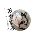 babyるぅ！（個別スタンプ：2）