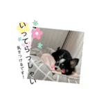 babyるぅ！（個別スタンプ：3）