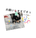 babyるぅ！（個別スタンプ：6）