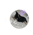 babyるぅ！（個別スタンプ：15）