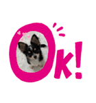 babyるぅ！（個別スタンプ：18）