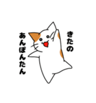 身にならないねこ（個別スタンプ：15）