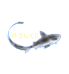 サメのあいさつ（個別スタンプ：1）