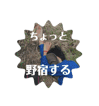 野生児のすすめ（個別スタンプ：1）