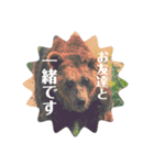 野生児のすすめ（個別スタンプ：11）