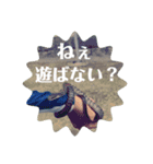 野生児のすすめ（個別スタンプ：13）