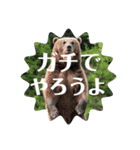 野生児のすすめ（個別スタンプ：15）