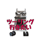 シーズーあんず（個別スタンプ：25）