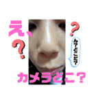株式会社ハルティクス Second PROJECT（個別スタンプ：16）