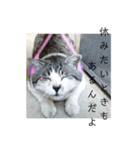 モコ＆つぶを（個別スタンプ：6）