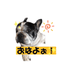 フレブルブン太（個別スタンプ：2）