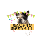 フレブルブン太（個別スタンプ：5）