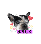 フレブルブン太（個別スタンプ：8）