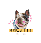 フレブルブン太（個別スタンプ：9）