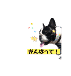 フレブルブン太（個別スタンプ：10）