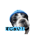 フレブルブン太（個別スタンプ：13）
