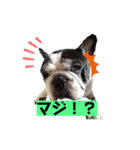 フレブルブン太（個別スタンプ：14）