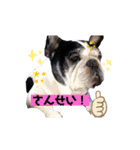 フレブルブン太（個別スタンプ：15）