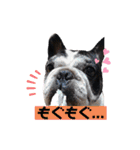フレブルブン太（個別スタンプ：18）