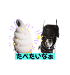 フレブルブン太（個別スタンプ：19）