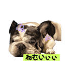 フレブルブン太（個別スタンプ：25）