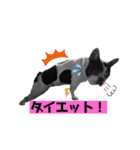 フレブルブン太（個別スタンプ：27）