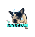 フレブルブン太（個別スタンプ：28）