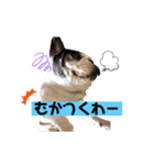 フレブルブン太（個別スタンプ：34）