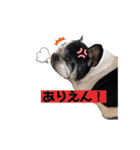 フレブルブン太（個別スタンプ：35）