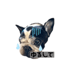 フレブルブン太（個別スタンプ：38）