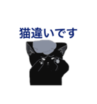 事実関係を否定するネコ（個別スタンプ：1）