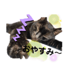 シュナウザーのウリ★黒猫あぐねす（個別スタンプ：2）