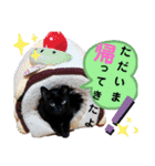 シュナウザーのウリ★黒猫あぐねす（個別スタンプ：17）