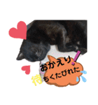 シュナウザーのウリ★黒猫あぐねす（個別スタンプ：18）