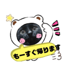 シュナウザーのウリ★黒猫あぐねす（個別スタンプ：23）