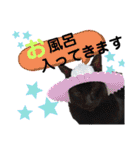 シュナウザーのウリ★黒猫あぐねす（個別スタンプ：27）