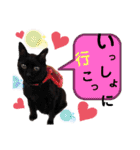 シュナウザーのウリ★黒猫あぐねす（個別スタンプ：32）