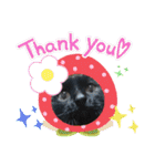 シュナウザーのウリ★黒猫あぐねす（個別スタンプ：35）