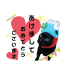 シュナウザーのウリ★黒猫あぐねす（個別スタンプ：40）