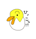 ヒヨコかアヒル（個別スタンプ：7）
