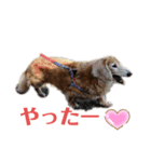 がっちゃんとももちゃんスタンプ2（個別スタンプ：5）