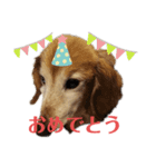 がっちゃんとももちゃんスタンプ2（個別スタンプ：8）