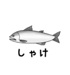 全世界のしゃけを愛する人々へ（個別スタンプ：1）