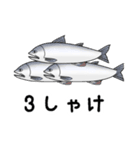 全世界のしゃけを愛する人々へ（個別スタンプ：4）
