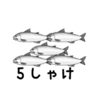 全世界のしゃけを愛する人々へ（個別スタンプ：6）