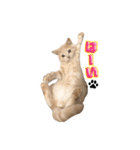 毎日そいまる3（個別スタンプ：7）